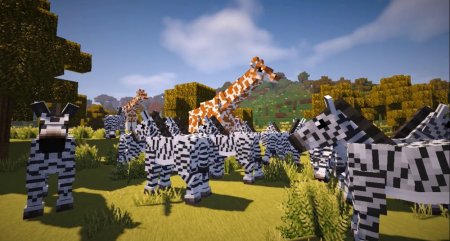 Зебры и жирафы
