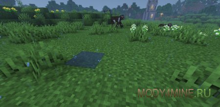 Puddles - мод на лужи в Minecraft 1.21.1, 1.20.1, 1.19.2, 1.18.2, 1.17.1, 1.16.5, 1.15.2 и 1.12.2