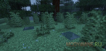 Puddles - мод на лужи в Minecraft 1.21.1, 1.20.1, 1.19.2, 1.18.2, 1.17.1, 1.16.5, 1.15.2 и 1.12.2