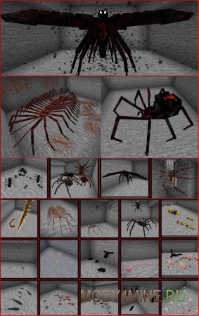 Arthropod Phobia Expansions - мод на огромных пауков и насекомых в Minecraft 1.20.4 и 1.19.4