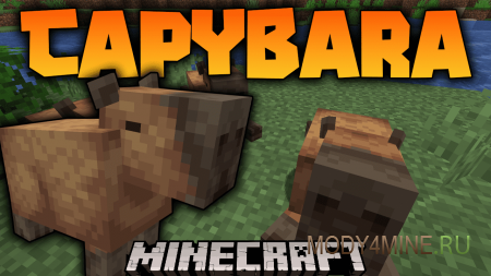 Capybara - мод на капибару в Minecraft 1.21.4, 1.20.1, 1.19.2, 1.18.2, 1.17.1 и 1.16.5