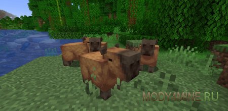 Capybara - мод на капибару в Minecraft 1.21.4, 1.20.1, 1.19.2, 1.18.2, 1.17.1 и 1.16.5