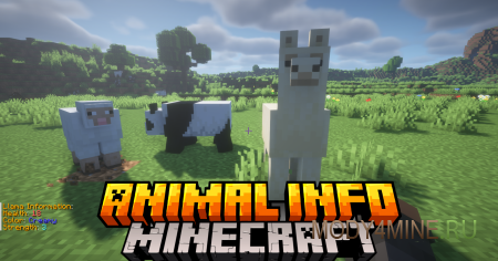Animal Info - мод на характеристики лошадей в Minecraft 1.21.5