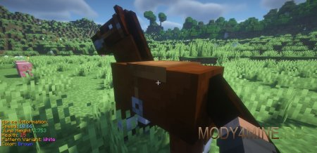 Animal Info - мод на характеристики лошадей в Minecraft 1.21.5