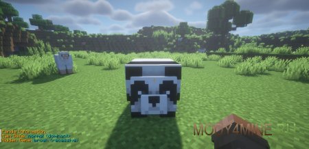 Animal Info - мод на характеристики лошадей в Minecraft 1.21.5