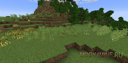 Bountiful Fares - мод на фрукты в Minecraft 1.21.1 и 1.20.4