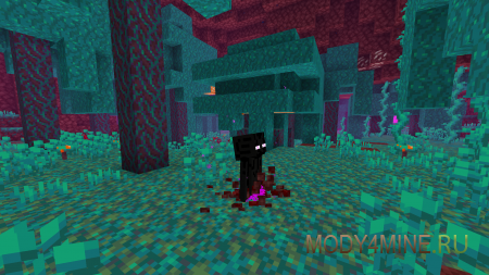 Spawn Animations - мод на анимацию спавна мобов в Minecraft 1.21.6, 1.20.6, 1.19.4, 1.18.2, 1.17.1 и 1.16.5
