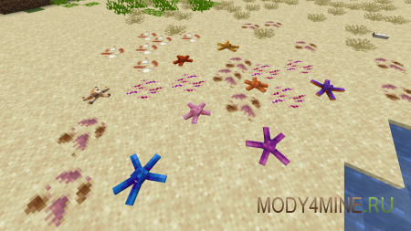 Seafarer - мод на морское обновление для Minecraft 1.20.1