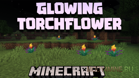 Glowing Torchflower - мод на светящиеся огнецветы в Minecraft 1.21.10, 1.20.6 и 1.19.4