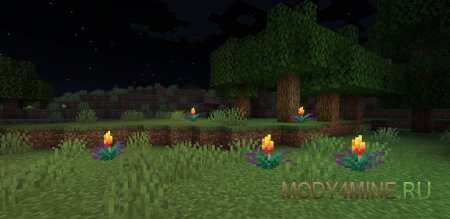 Glowing Torchflower - мод на светящиеся огнецветы в Minecraft 1.21.10, 1.20.6 и 1.19.4