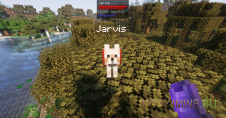 Call Your Dog - мод на телепорт собаки в Minecraft 1.21.11