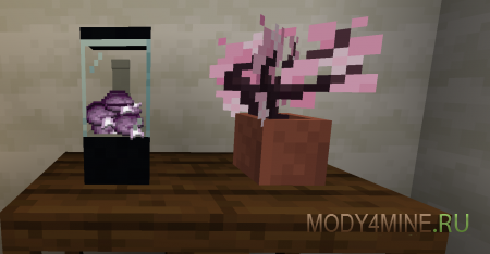 Maple - мод на красивый лес для Minecraft 1.21.11, 1.20.1, 1.19.4 и 1.18.2