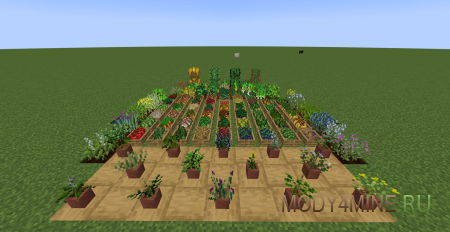 Mama’s Herbs And Harvest - мод на фрукты, овощи и травы для Minecraft 26.1.1 и 1.21.11