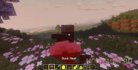Ducky Quack Pack - мод на уток в Minecraft 26.2, 26.1.2 и 1.21.11